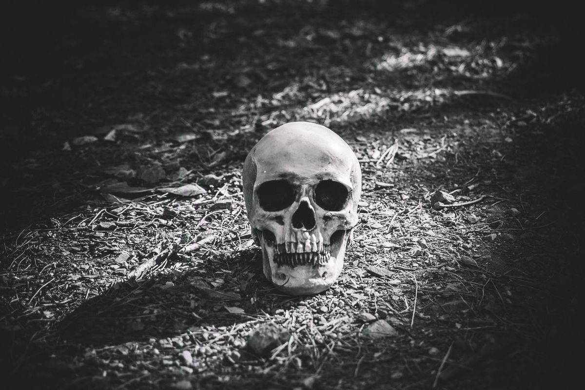 На северо-западе Москвы нашли человеческий скелет
