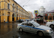 Правительство города поддержало задумку создания на улицах Думской и Ломоносова пешеходной зоны. По словам вице-губернатора Кирилла Полякова, там может появиться пространство для семейного досуга.