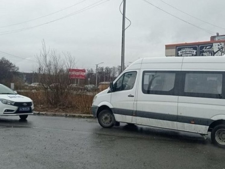 В Челябинской области мигрантам запретили водить маршрутки и такси