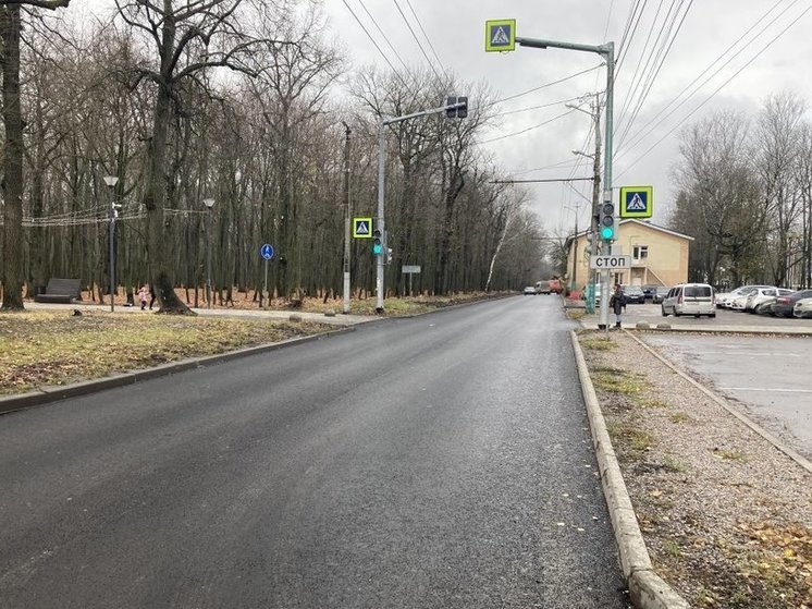 Общественный совет проверил качество ремонта на улице Попова в Пензе