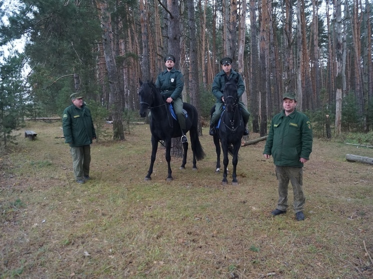 Казаки Серпухова патрулируют леса