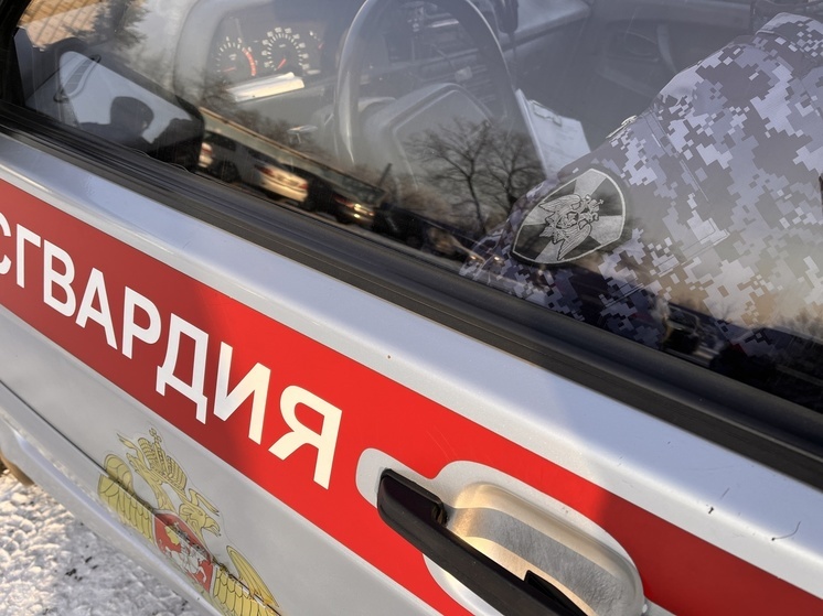  В Туве росгвардейцы разыскали подозреваемого в совершении тяжкого преступления