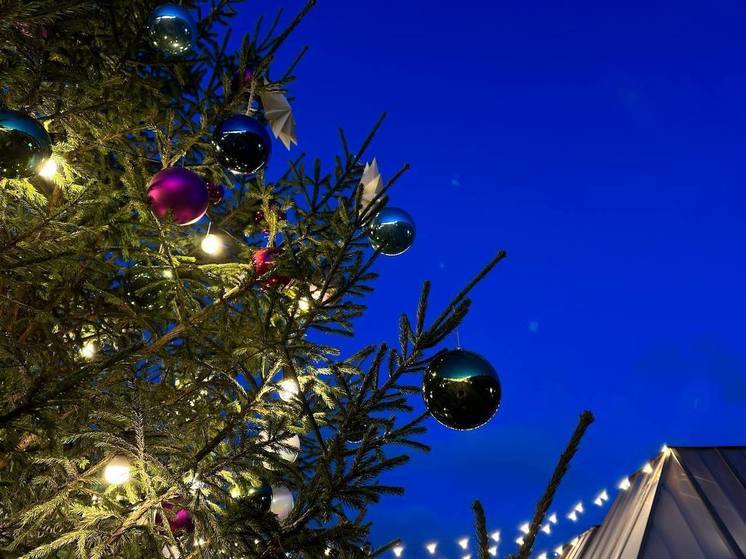 В Мурманске 14 декабря дадут старт губернаторским новогодним елкам