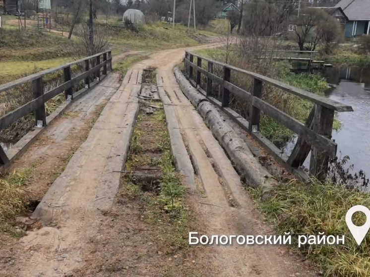 Жители деревни в Тверской области пожаловались на разрушающийся мост
