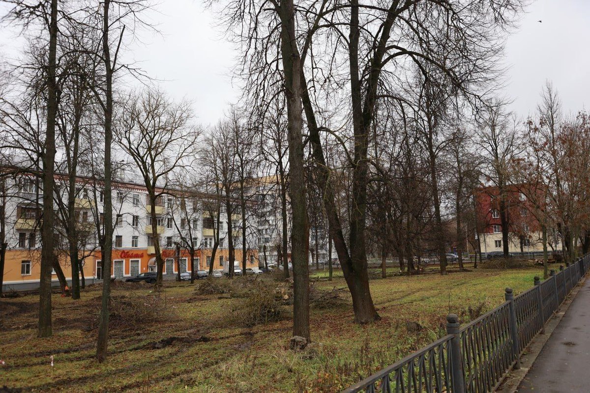 В Серпухове приступили к благоустройству сквера на Северной площади - МК  Серпухов