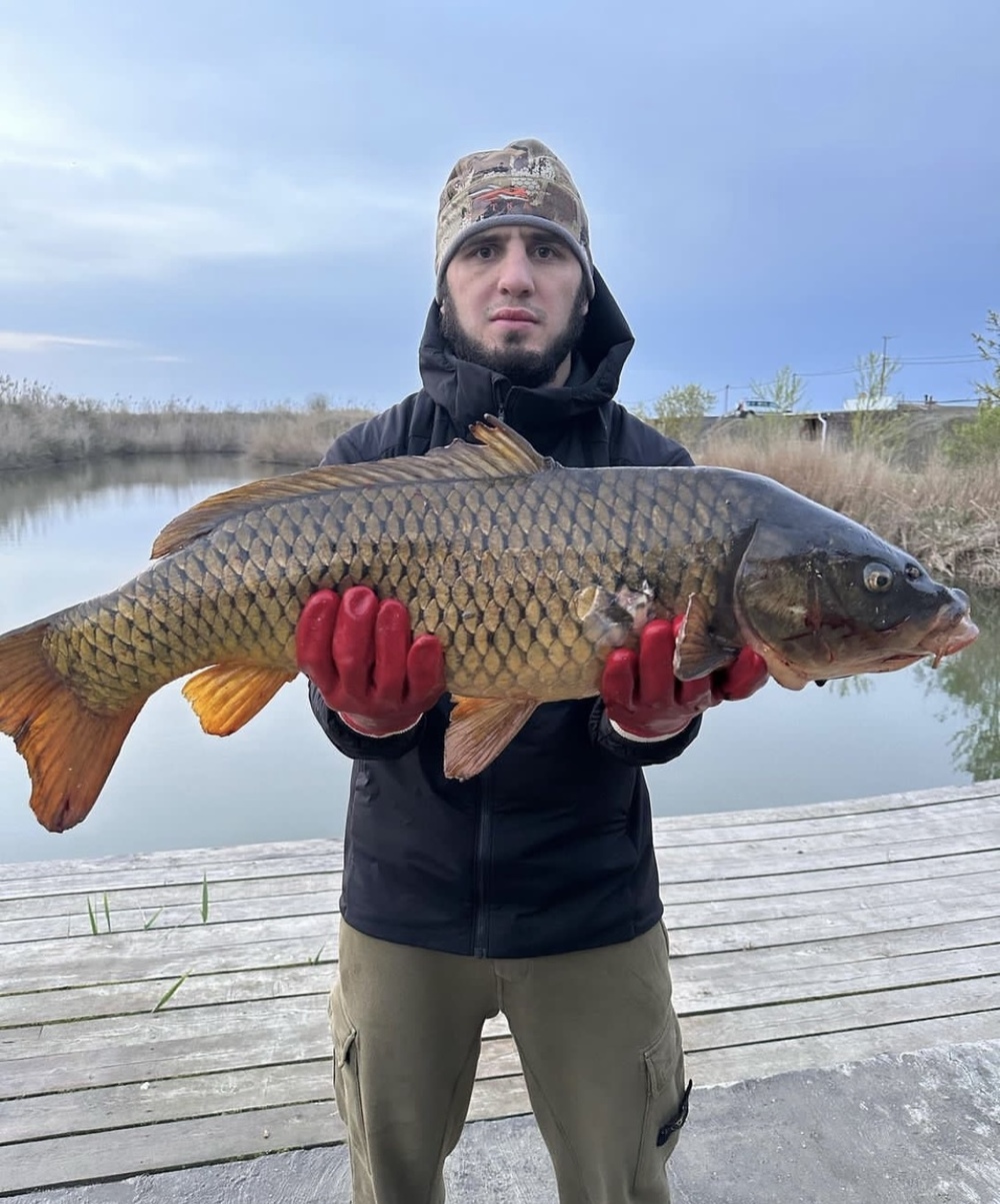 Махачев превзошел Нурмагомедова: западные СМИ об исторической победе россиянина