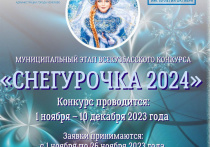Прием заявок на муниципальный этап Всекузбасского конкурса "Снегурочка 2024" стартовал 1 ноября и продлится до 26 ноября