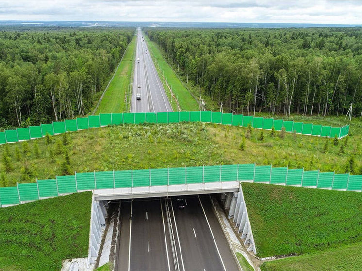 Стала известна дата открытия экодука в Кузбассе