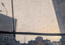 На погоду в Петербурге в четверг повлияет теплый атмосферный фронт. Ожидается облачность и небольшие дожди, рассказал в своем telegram-канале синоптик Михаил Леус.