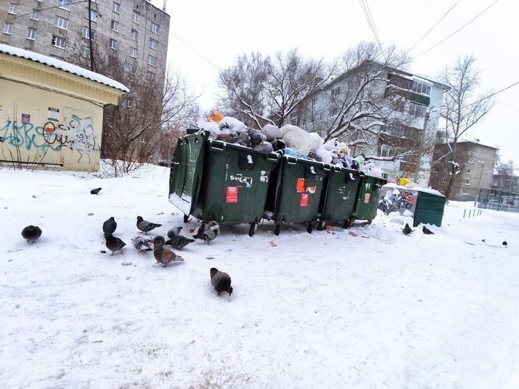 "Введём фотофиксацию": мэр Томска предложил новый способ контроля за вывозом мусора