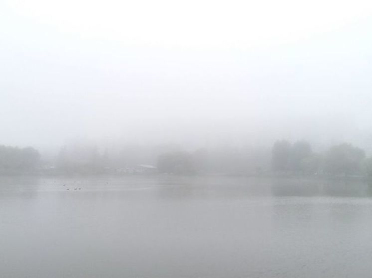 Густой туман вновь пришел в Петербург 9 ноября