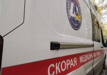 В Василеостровском районе Петербурга 13-летняя школьница попала в больницу после ранений, которые нанес ей одногодка, сообщил «МК в Питере» источник в правоохранительных органах