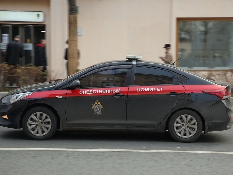 Угрожавшему жене военкора Коца мужчине ужесточили уголовную статью