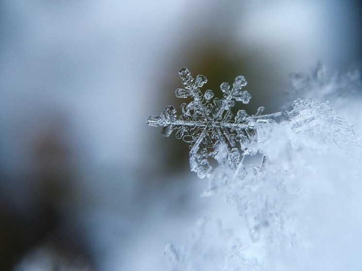 Главный метеоролог региона рассказал ждать ли снега в ноябре в Воронеже