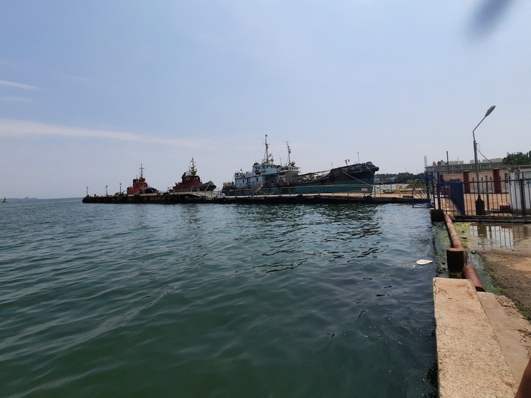 Мариупольский морской порт принял груз из Севастополя