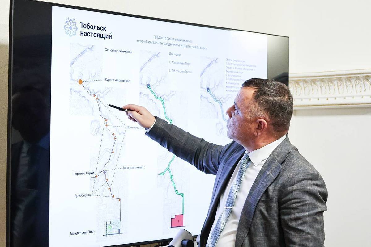 Менделеев парк тобольск проект