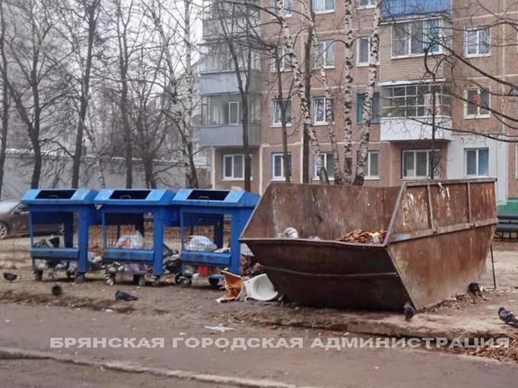 За отказ убирать мусор в Брянске наказали управляющие компании