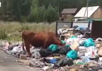 Представили Народного фронта в Республике Бурятия призвали обращаться к ним с проблемой по вывозу мусора