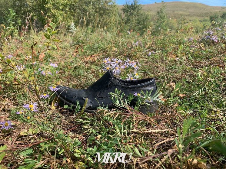 41-летний забайкалец собрал коноплю «для себя» — его задержали Росгвардейцы