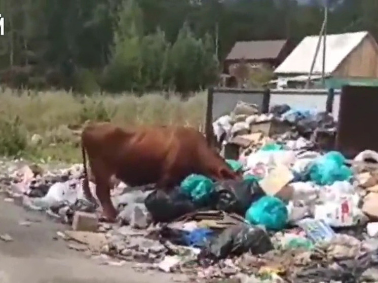 Жителей Бурятии призвали жаловаться на невывоз мусор в ОНФ