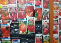 В торговых точках столицы Бурятии выявлены реализация 17 партий семян овощных сельхозкультур в малогабаритной таре,  сорта которых не допущены к использованию официально