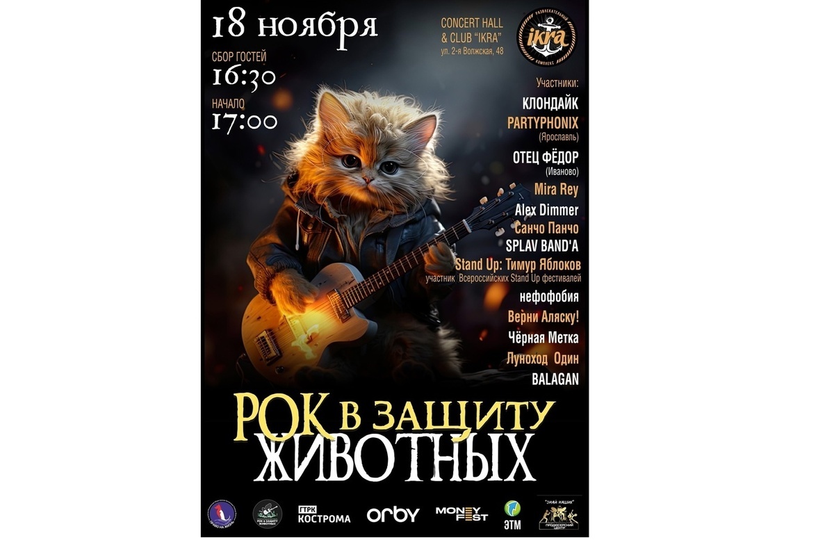 В Костроме рок-музыканты дадут концерт в помощь приюту для животных “Право на жизнь”