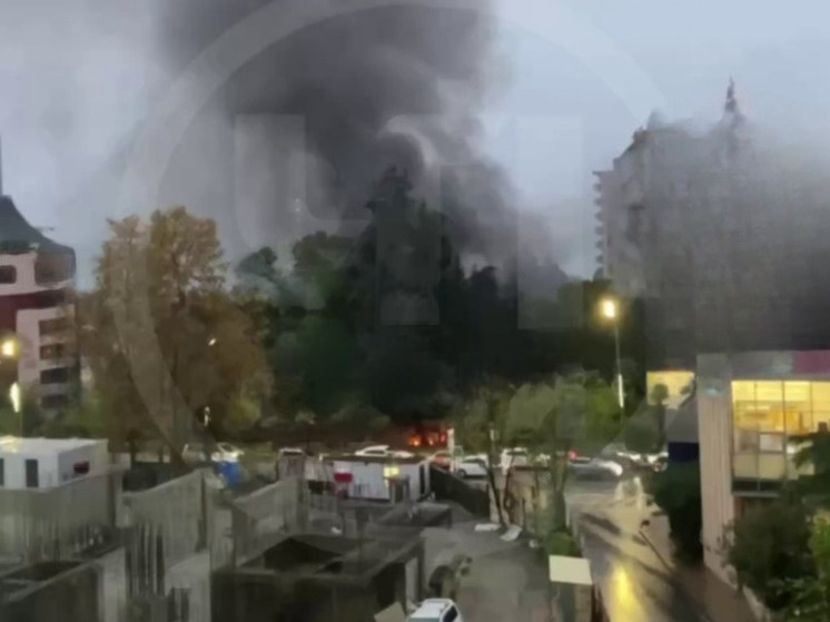 На Курортном проспекте в Сочи загорелся мусор