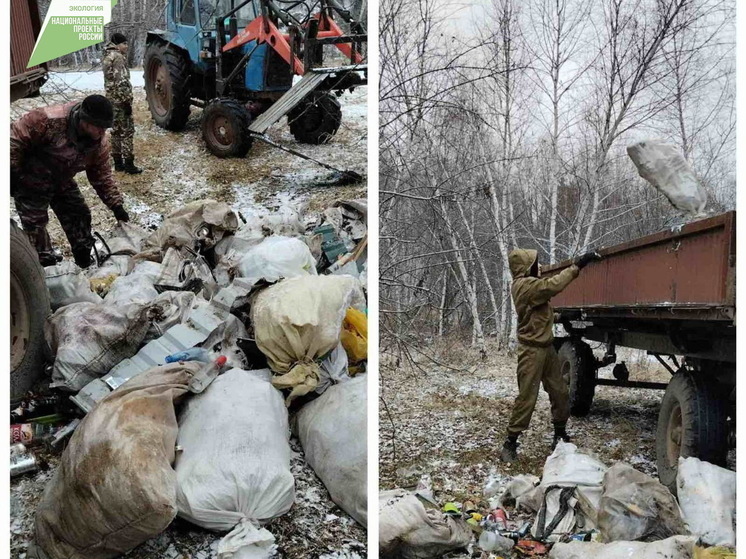 В Бурятии юные лесники помогли собрать 300 кило мусора