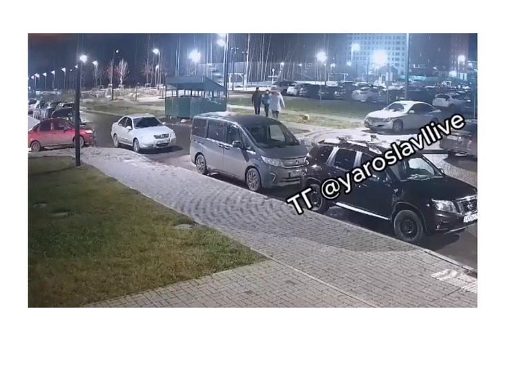 В Ярославле подрались автомобилист и собаковод