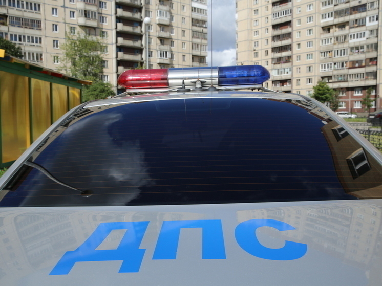 С начала года в Новгородской области по вине пьяных водителей погибло 14 человек