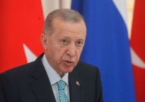 Президент Турции Реджеп Тайип Эрдоган положительно оценил призывы генерального секретаря Организации объединенных наций (ООН) Антониу Гутерриша к прекращению огня на Ближнем Востоке