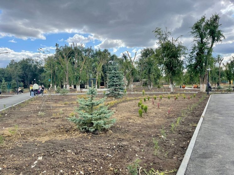 В поселке Дубки появятся светящиеся изнутри качели