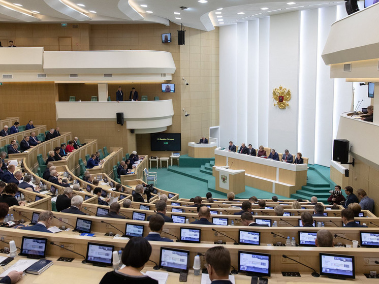 В Совфеде ожидают использования реестра воинского учёта только с 2025 года