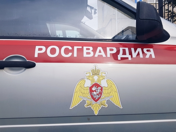 В Абинском районе росгвардейцы задержали мужчину, подозреваемого в грабеже