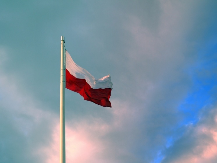 Объединенная оппозиция Польши решила выдвинуть в премьеры Туска