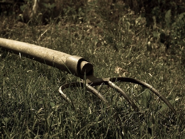 Жителя Башкирии оштрафовали за нападение с вилами на полицейского