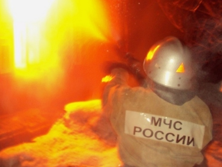 В Воронеже загорелся высотный дом