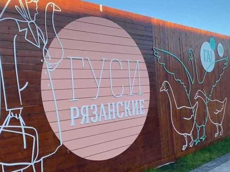 В Торговом городке Рязани появился арт-забор с QR-кодами