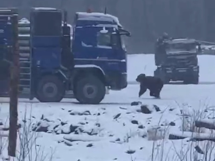 At a gas field in Yakutia, a bear attacked two workers