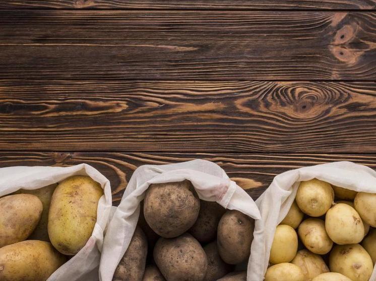 Рекордный урожай картофеля собрали в 2023 году в Омской области