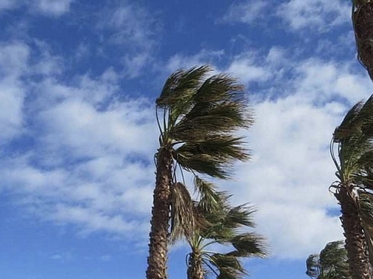 Усиление ветра спрогнозировали синоптики в Сочи