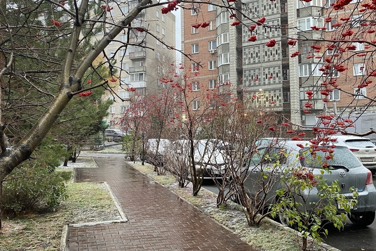 Дождь и + 3 градуса: синоптики рассказали о погоде в Томске 12 ноября