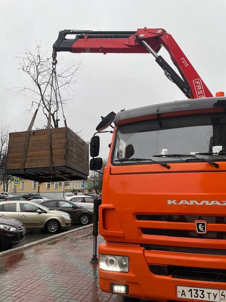 Улицы Кирова освободили от контейнерного озелененеия