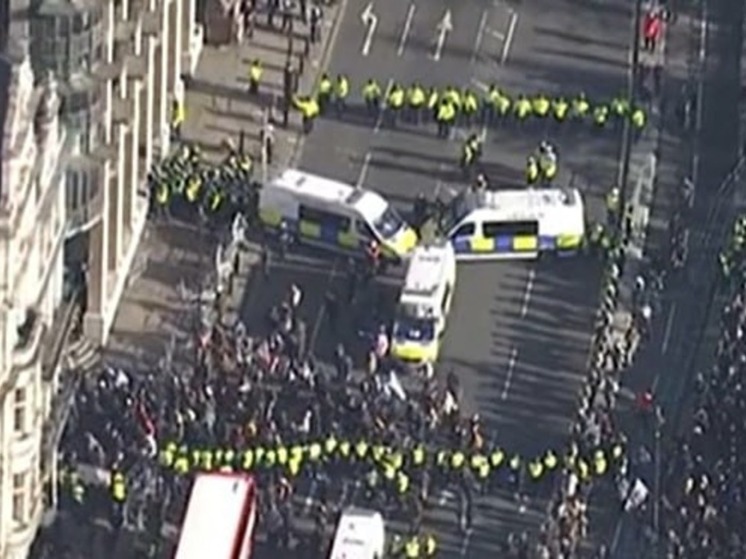 9 полицейских пострадали в ходе пропалестинских протестов в Лондоне