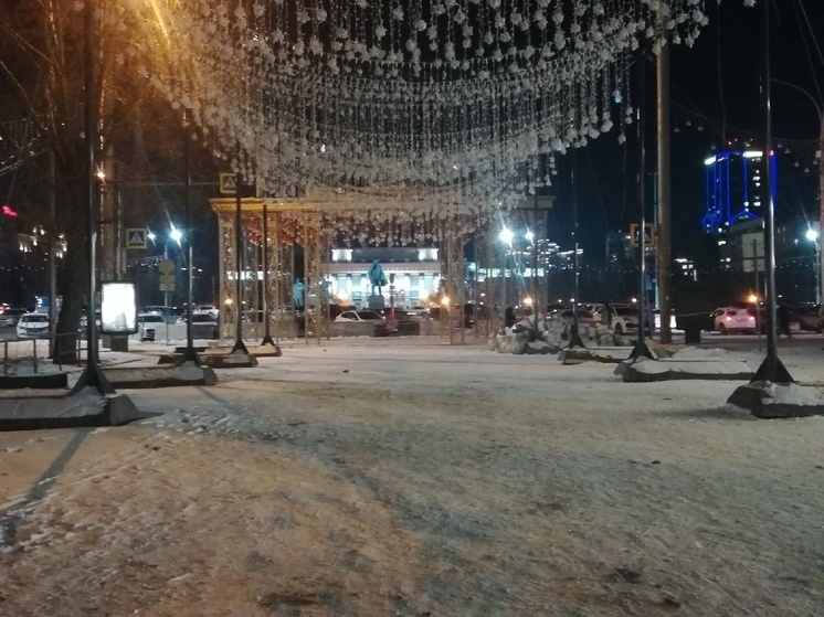 В Новосибирске на улице Ленина установят фотозоны и навесной потолок