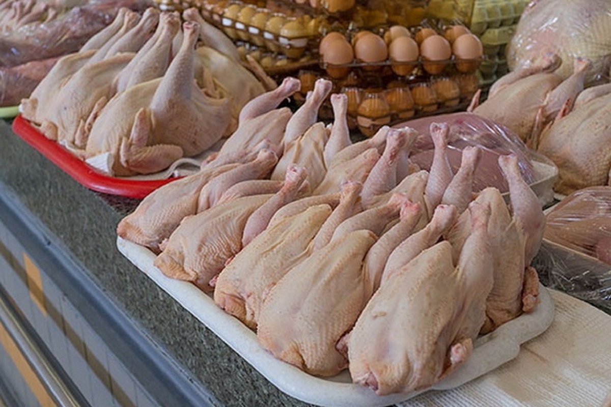 На рынке мяса птицы в стране. Курица на прилавке. Мясо птицы. Мясо домашней птицы. Мясо птицы магазин.