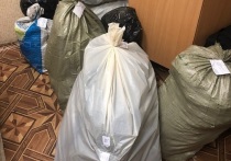 Сотрудники полиции Славгорода в ходе рейда изъяли у 40-летнего местного жителя десять мешков наркотического средства. Общий вес изъятого вещества составил более девяти килограммов.