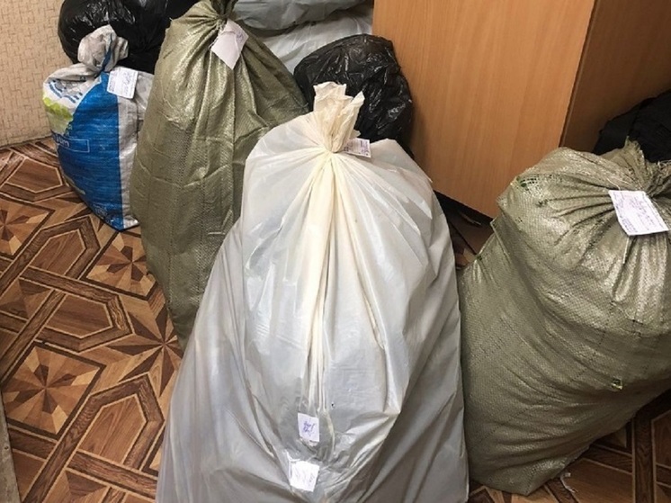 Житель Славгорода хранил дома 10 мешков конопли для личного пользования