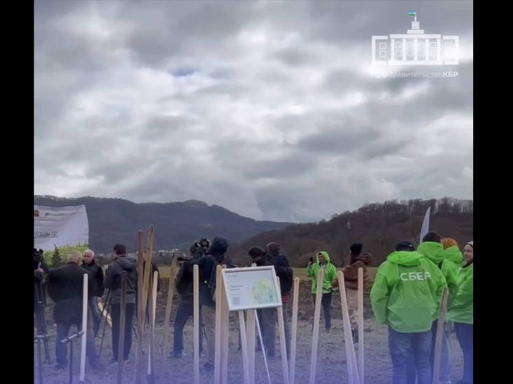 В Кабардино-Балкарии прошла акция «Сохраним лес»