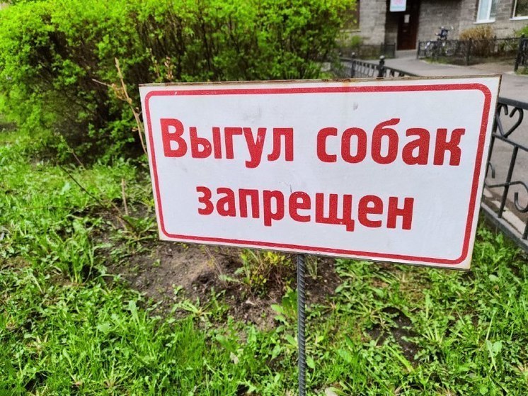 Прокуратура потребовала оборудовать площадки для выгула собак в Немане